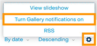 Settings cog to turn gallery notifications on